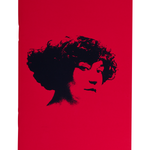 Carnet "Colette Willy 1910" par l'atelier Albion